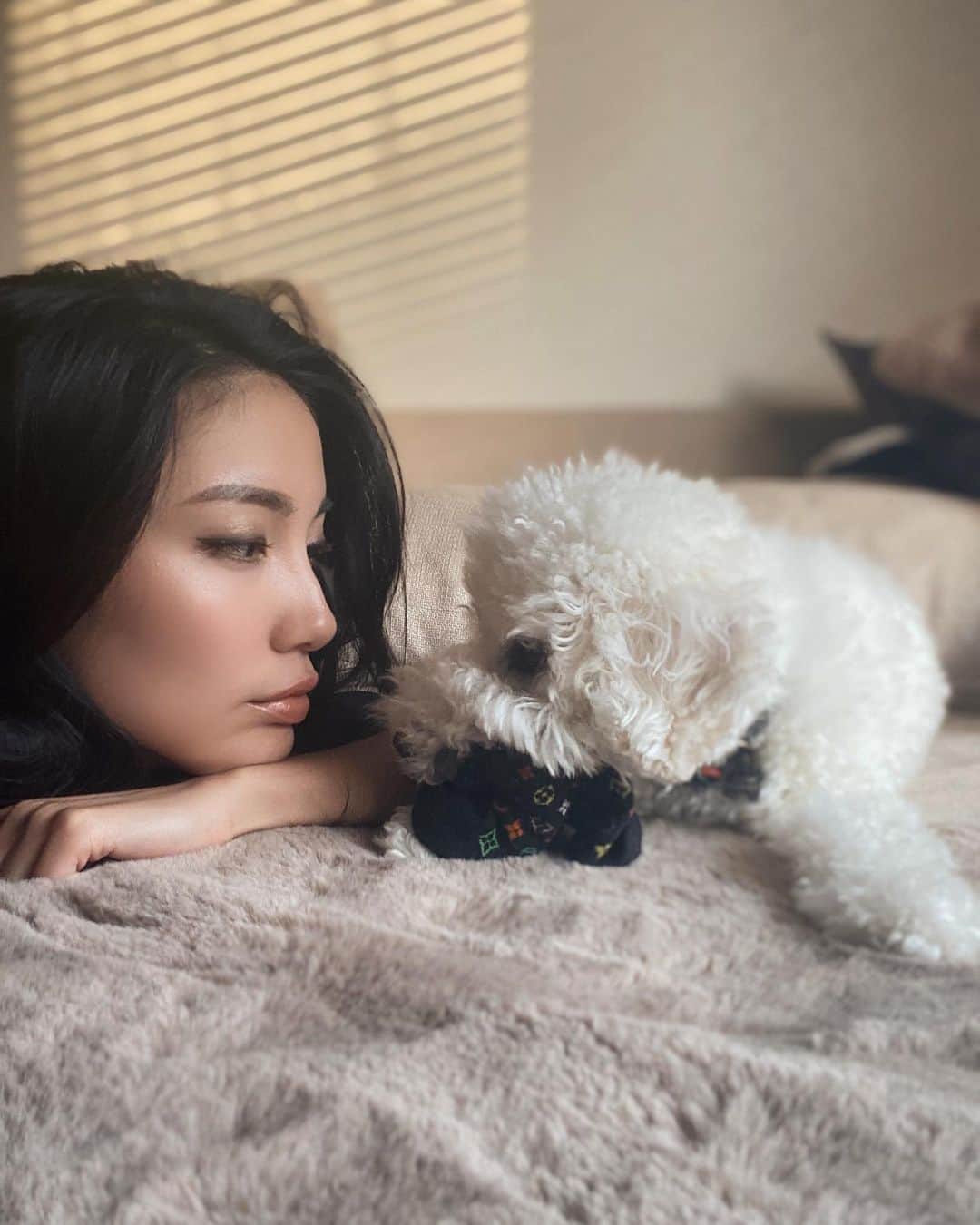 吉田愛璃さんのインスタグラム写真 - (吉田愛璃Instagram)「. . おい、靴下返してくれ  #いぬのいる暮らし #いぬすたぐらむ #いぬばか部 #トイプードル #いたずら犬 #ボサボサ犬 #靴下大好き犬 #日常の風景 #癒しわんこ」3月23日 2時30分 - eriyoshida0314