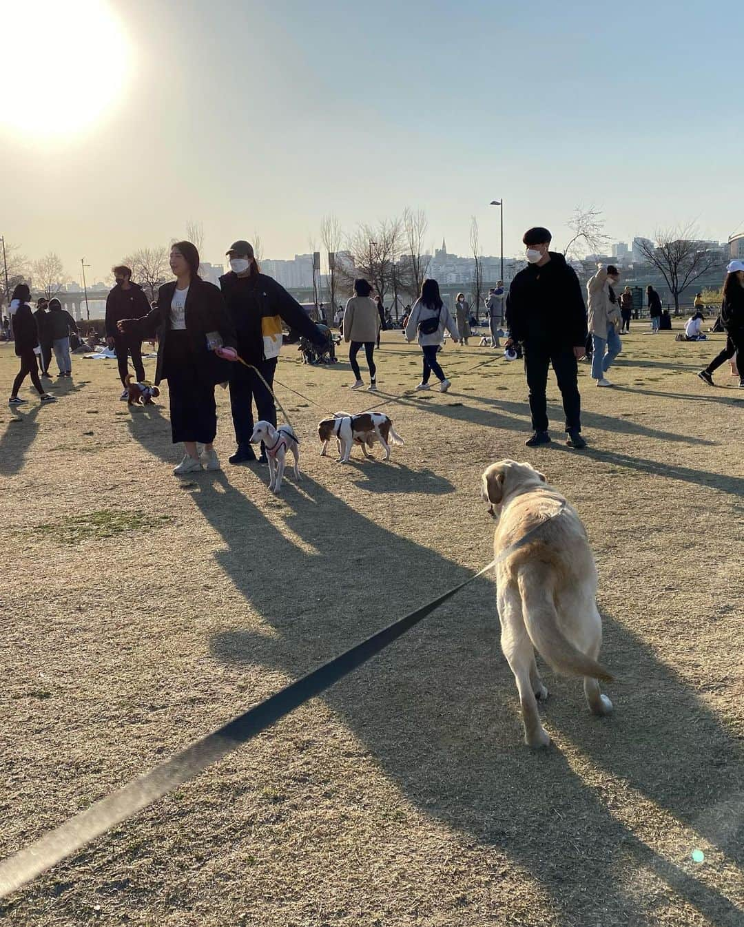 ナム・テヒョンさんのインスタグラム写真 - (ナム・テヒョンInstagram)「불태웠다🤨」3月22日 18時42分 - souththth