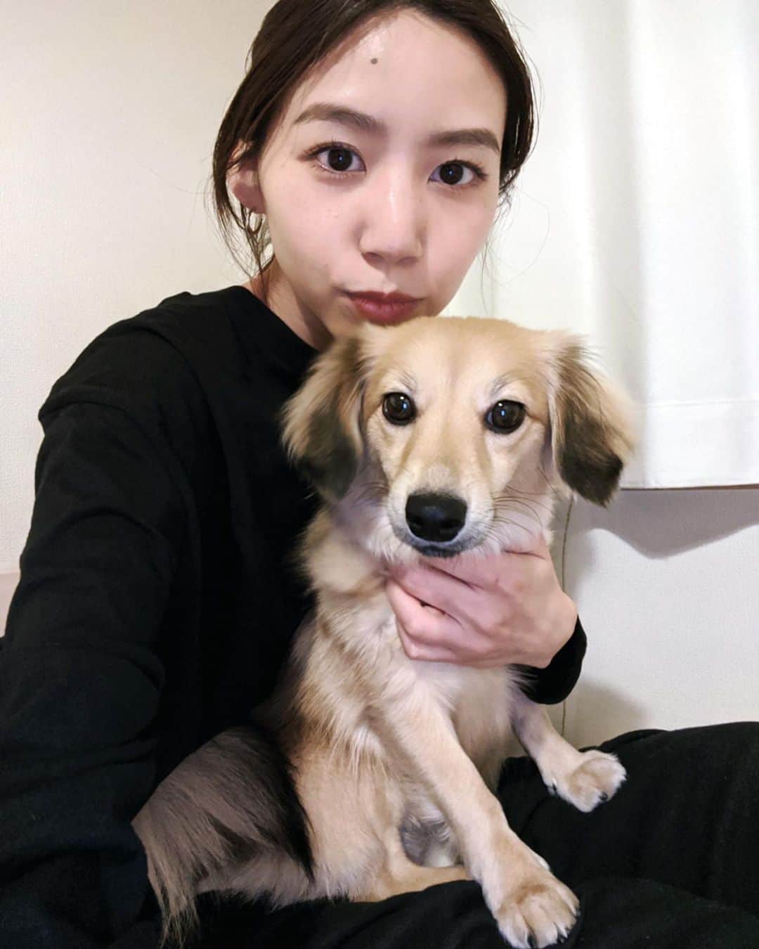 Shiho Sasakiのインスタグラム：「ジャスミンがみるみるうちに成長して 最近似てるねって言われる事がさらに増えた気がする🐶 飼い主に似るって言うけど、 実は最初から無意識のうちに似てる犬を選んでいるらしい🤔 皆さんのペットはどうでしょう？💘 #dog#family#pixelで撮影#team_pixel#baroque_pixel」