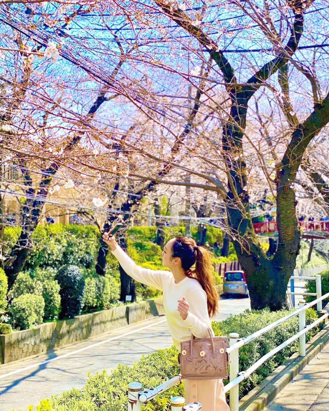 石田美奈子のインスタグラム：「𝚜𝚊𝚔𝚞𝚛𝚊🌸 . 春らしいポカポカ暖かい日が続いていますね♡ 昨日は桜探しの#ドライブ へ🚗 都内の桜ももうだいぶ咲いてきてる☺︎ . 初めて行った田園調布の#さくら坂 は福山雅治さんの桜坂の舞台となった場所なんだって😊 知らなかった(⑅ˊᵕˋ⑅)✨ #砧公園 の桜も日当たりのいい場所は綺麗に咲いていましたよ♡ . 今年はお花見自粛モードで残念ですが、せっかく桜が咲き始めているのでお散歩がてら眺めてきました(о´∀`о)🌸 次の週末くらいが満開かな？✨ . ✈️ → #minako_trip . #cherryblossom #sakura #桜 #東京の桜 #お花見 #🌸」