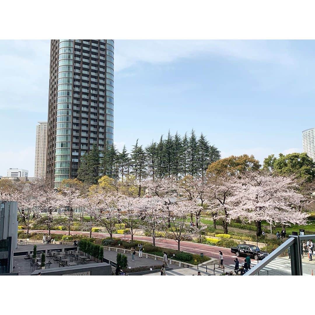柴本愛沙さんのインスタグラム写真 - (柴本愛沙Instagram)「東京でさくら満開日の発表🌸 平年より12日早く、昨年より5日早いです。 標本木がある靖国神社は満開のようですが、 街にある桜たちはこれから満開かな？ たまたま通りかかったミッドタウンの桜は まだ6分咲きくらいでした。  そんなポカポカ陽気のなか、 頭に溜まっていた脳脊髄液を流すという 初体験のマッサージをしにPARAFUSE. へ✨  脳脊髄液を流すことで自律神経を整え、 顔や首、肩、デコルテなどを整えて、 緩んだ顔の骨格をぐっと引き締めてもらいました。 before/after比べると頭の大きさが違う…  そしてなにより気持ちよすぎて だいぶ癒されました♡  #parafuse #小顔調整 #脳洗浄 #脳脊髄液 #自律神経を整える #マッサージ #小顔矯正 #小顔効果 #頭が小さくなる #サロン #新宿サロン #自分メンテナンス  #pr #コラボベース #美容デー #美容メンテナンス #リラックス #リラクゼーション #気持ち良い #至福の時間 #桜 #桜満開 #東京ミッドタウン #sakura #sakura2020 #cherryblossom #春 #spring」3月22日 19時11分 - aisa_shibamoto