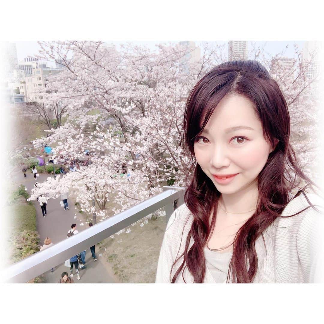 のインスタグラム：「東京でさくら満開日の発表🌸 平年より12日早く、昨年より5日早いです。 標本木がある靖国神社は満開のようですが、 街にある桜たちはこれから満開かな？ たまたま通りかかったミッドタウンの桜は まだ6分咲きくらいでした。  そんなポカポカ陽気のなか、 頭に溜まっていた脳脊髄液を流すという 初体験のマッサージをしにPARAFUSE. へ✨  脳脊髄液を流すことで自律神経を整え、 顔や首、肩、デコルテなどを整えて、 緩んだ顔の骨格をぐっと引き締めてもらいました。 before/after比べると頭の大きさが違う…  そしてなにより気持ちよすぎて だいぶ癒されました♡  #parafuse #小顔調整 #脳洗浄 #脳脊髄液 #自律神経を整える #マッサージ #小顔矯正 #小顔効果 #頭が小さくなる #サロン #新宿サロン #自分メンテナンス  #pr #コラボベース #美容デー #美容メンテナンス #リラックス #リラクゼーション #気持ち良い #至福の時間 #桜 #桜満開 #東京ミッドタウン #sakura #sakura2020 #cherryblossom #春 #spring」