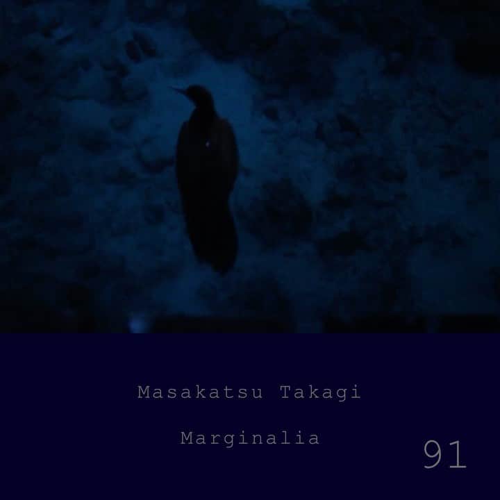 高木正勝のインスタグラム：「From 3:00 am to 6:00 am, a beautiful chorus coming from mountain. This morning, I could woke up early, so tried making a new morning together.  朝の3時頃から歌い出す生き物がいました。早起きできたので一緒に朝の山をつくりました。  高木正勝 マージナリア　#91  https://takagimasakatsu.bandcamp.com/」