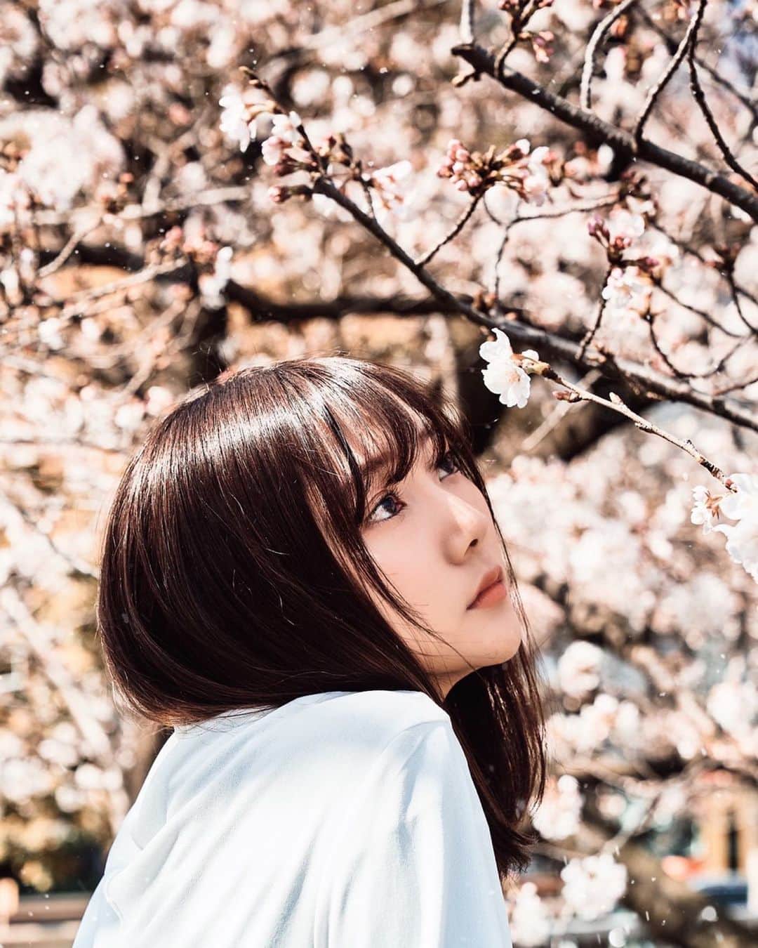 高井真菜さんのインスタグラム写真 - (高井真菜Instagram)「🌸彡」3月22日 19時51分 - mana_takai