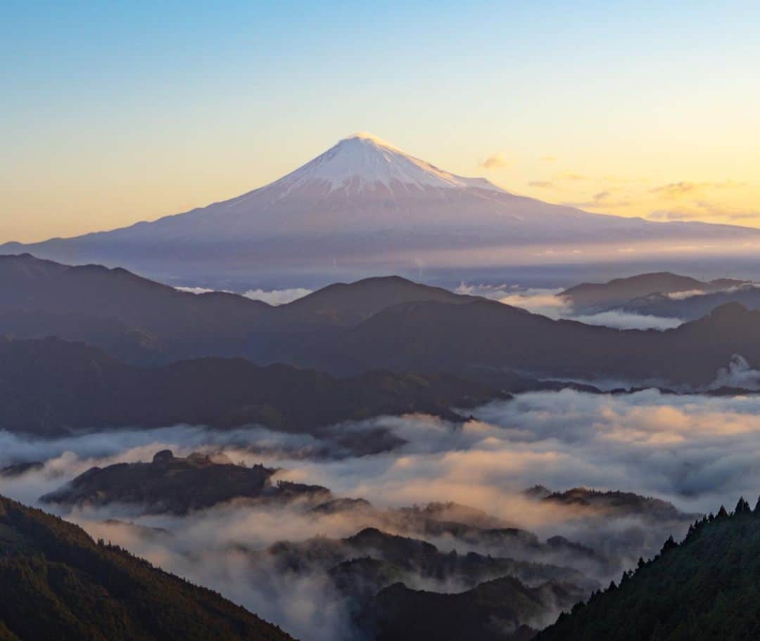 詩歩さんのインスタグラム写真 - (詩歩Instagram)「🗻﻿ ﻿ It is the scenery of hometown that I wanted to see for a long time. Mt. Fuji, which snow fell the day before, and the sea of clouds spreading under your eyes. Early rise is a must to see the sea of clouds! If you stand by from the dark while rubbing your sleepy eyes, the sea of clouds bathes in the morning sun with the sunrise and glitters. ✨ The season when the sea of clouds is easy to appear is spring / autumn where there is a difference in temperature between morning and evening.It's a difficult place to go, but please come to my hometown, Shizuoka!﻿ ﻿ ﻿ ずーっと見たかった故郷の景色✨﻿ ﻿ 前日に雪が降って冠雪した富士山と、眼下に広がる雲海。﻿ ﻿ 雲海を見るには早起きがマスト！﻿ 眠気眼をこすりながら暗いうちからスタンバイしていると、日の出とともに雲海が朝日を浴びてキラキラと✨﻿ ﻿ 天気予報では富士山が曇り隠れる確率が高かったんだけど、運良くスッキリと空が晴れてくれて、とっても幻想的な光景に出会えました📷﻿ ﻿ 雲海が出やすいシーズンは、朝晩の寒暖差がある春・秋なので、これからがシーズン☁﻿ ちょっと行くのが大変な場所だけど、ぜひ静岡へ遊びにきてくださいっ！﻿ ﻿ 育ちは浜松市だけど、生まれは旧清水市（現・静岡市清水区）なワタクシ。﻿ 今も祖母がいるのでよく行くけど、こんな景色があったなんて最近まで全然知らなかったよ〜😂﻿ やっぱりカメラをはじめると、新しい発見がたくさんある📷﻿ ﻿ @shizuoka_kankou  @shizuoka_city  #picshiz﻿ ﻿ ﻿ 📷15th Mar 2020﻿ 📍吉原の雲海／静岡県 静岡市 清水区﻿ 📍Yoshiwara／Shizuoka Japan﻿ ﻿ ﻿ ©︎Shiho/詩歩﻿」3月22日 19時53分 - shiho_zekkei