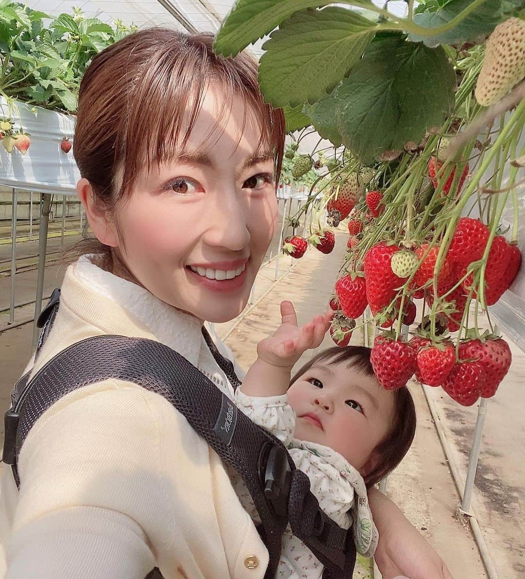 庄司ゆうこさんのインスタグラム写真 - (庄司ゆうこInstagram)「今日はイチゴ狩りに行ってきたよ🥰 フルーツの中で苺が1番好きなので今日はお腹をすかせてたーっくさん食べてきました🤣 何個食べたかは秘密です、、笑 ももちゃんもこんなに食べさせて大丈夫かなぁってくらいあげてしまった🤣 それにしても今日はこんなにいいお天気でお休みなのに誰もいなくて貸し切り状態でした❗️ そして幕張のアウトレットへお買い物😆 ベビー服、トレーニングウェア、春服とたくさん買えて大満足☺️ #とけのいちご中村農園#イチゴ狩り#苺#大好き#食べ放題#満腹#しばらく#苺食べなくていいや#幕張アウトレット #ショッピング#バーゲン」3月22日 20時09分 - yuko.shoji