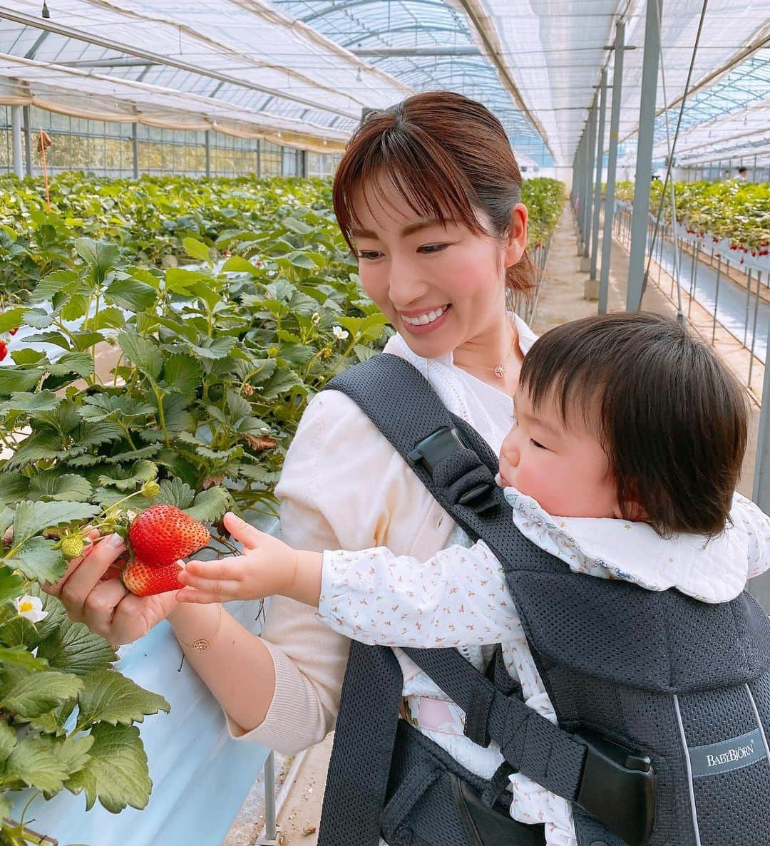 庄司ゆうこさんのインスタグラム写真 - (庄司ゆうこInstagram)「今日はイチゴ狩りに行ってきたよ🥰 フルーツの中で苺が1番好きなので今日はお腹をすかせてたーっくさん食べてきました🤣 何個食べたかは秘密です、、笑 ももちゃんもこんなに食べさせて大丈夫かなぁってくらいあげてしまった🤣 それにしても今日はこんなにいいお天気でお休みなのに誰もいなくて貸し切り状態でした❗️ そして幕張のアウトレットへお買い物😆 ベビー服、トレーニングウェア、春服とたくさん買えて大満足☺️ #とけのいちご中村農園#イチゴ狩り#苺#大好き#食べ放題#満腹#しばらく#苺食べなくていいや#幕張アウトレット #ショッピング#バーゲン」3月22日 20時09分 - yuko.shoji