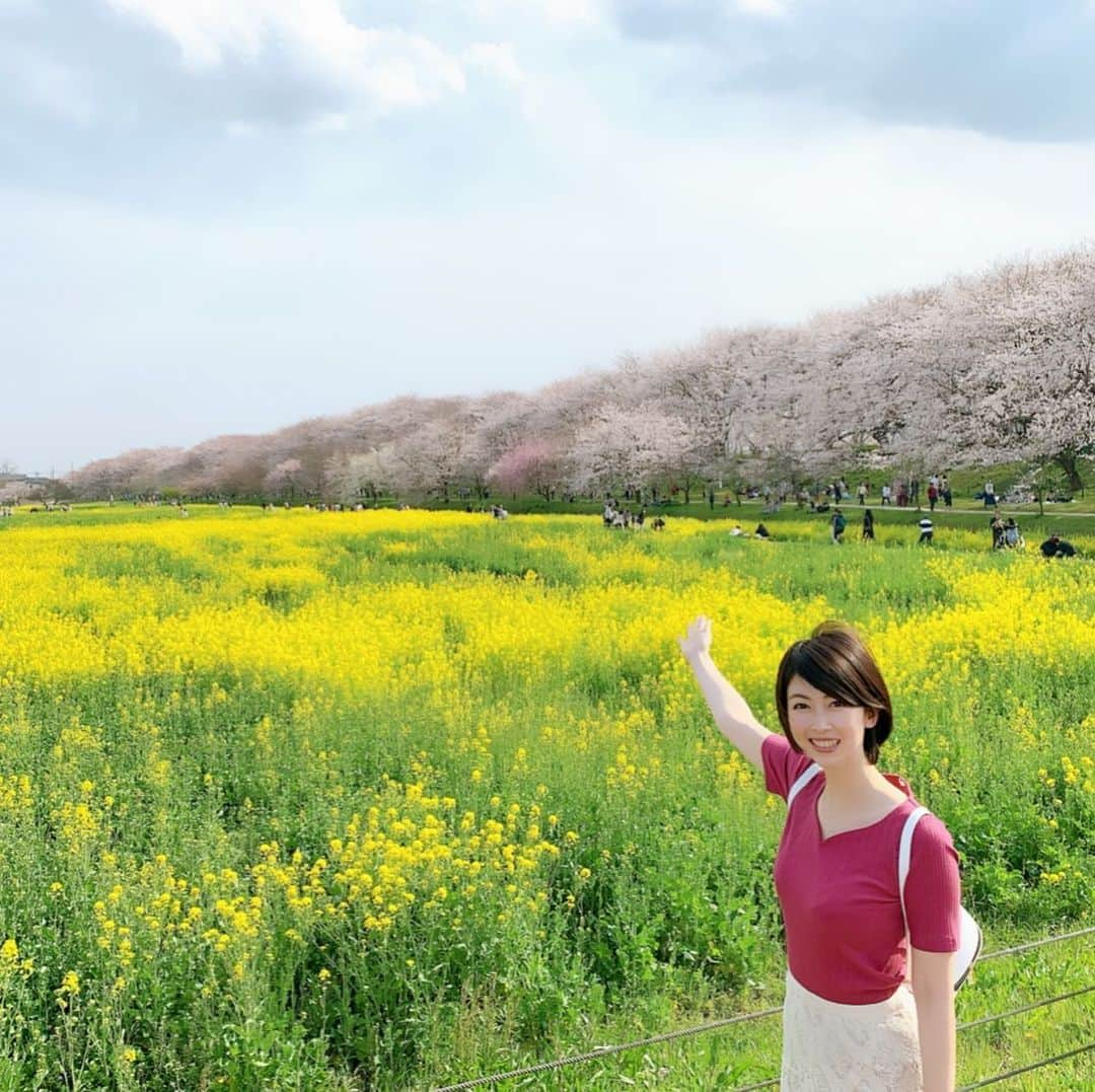 青木美香のインスタグラム