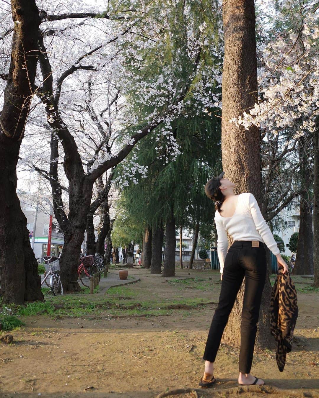 井元麻帆のインスタグラム：「🌸 露店のシャンパンをのんで、 その場で削いでくれる モチモチの生ハムをたべて 8分咲きの桜を愛でる うふふな休日🤤🥂💕 #ビーサン #🙈 #気分は夏」