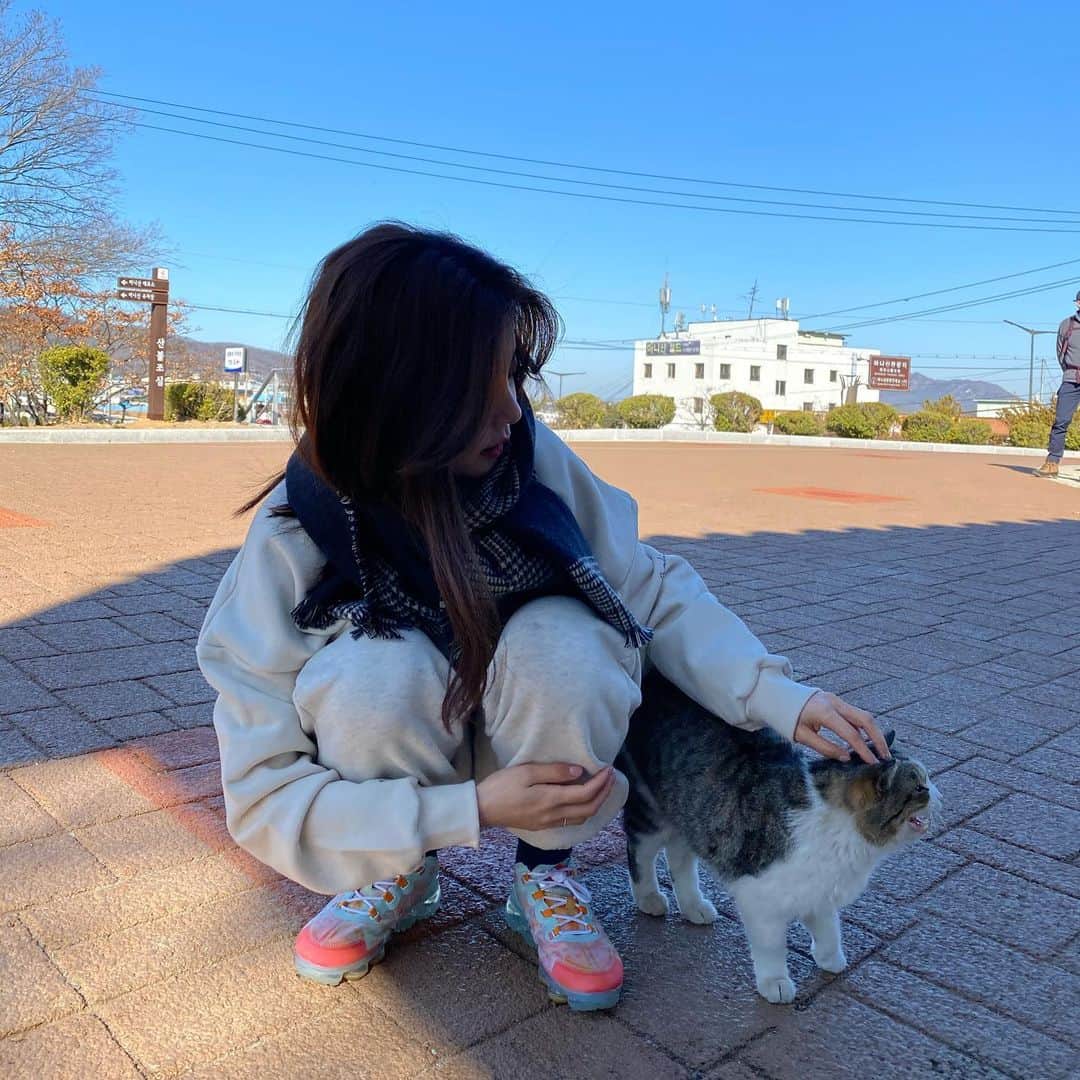 ソジン さんのインスタグラム写真 - (ソジン Instagram)「#마니산길냥이 #핵귀 #애교쟁이 #사랑스럽」3月22日 20時40分 - ssozi_sojin