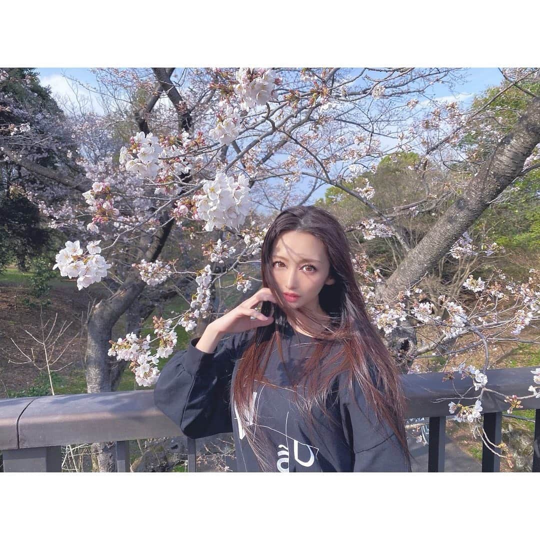 神子島みかさんのインスタグラム写真 - (神子島みかInstagram)「. #桜 🌸 早起きしてお弁当作って #ピクニック な日曜日٩( ᐛ )و . . 3枚目のイメージで 撮ってもらったものの強風で顔面に 枝が激突した瞬間。 . 34歳にもなるのに 桜の前で張り切るんじゃなかったよ . . #ootd#fashion#cherryblossom#picnic#makeup#Japanesegirl#japan#tokyo#mam#dad#kids#famfamily#holiday#instagood#instamood#instalike#instalove#instafollow#followme#instapic#我爱你#アラサー#ママ#花見#公園#平和#汚れてもいい服#お洒落無縁 . . ⋆⸜ᵀᴴᴬᴺᴷ ᵞᴼᵁ⸝⋆」3月22日 20時43分 - kagomika