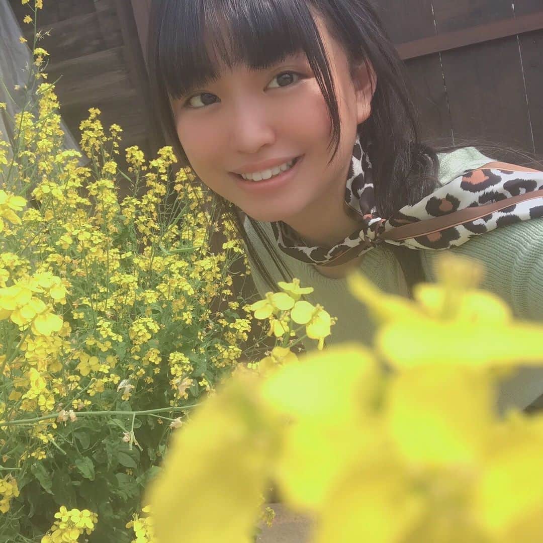 吉田万葉さんのインスタグラム写真 - (吉田万葉Instagram)「春を感じにお出かけ🌷🌷🌷 🚗³₃  #春 #菜の花 #チューリップ」3月22日 20時44分 - manyo.0122