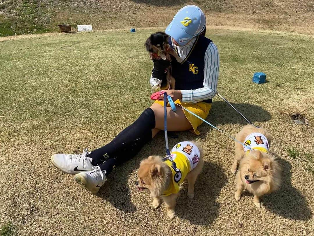 川崎志穂さんのインスタグラム写真 - (川崎志穂Instagram)「0322 ・ ・ 家族みーーーんなでラウンド🐶⛳️ ・ いぬころーずは、楽しそうにコースを走り回ったり、気持ちよさそうにママの腕の中で寝てたりしてました☀️みんなニコニコ🐶 記念写真撮ろうと思ったのに いつも通り誰もカメラ見てくれない🥺📸 ・ ・ #golf #愛犬とゴルフ #ミツウロコ　#kissonthegreen #いぬのいる暮らし」3月22日 21時17分 - shiiiistagram__official