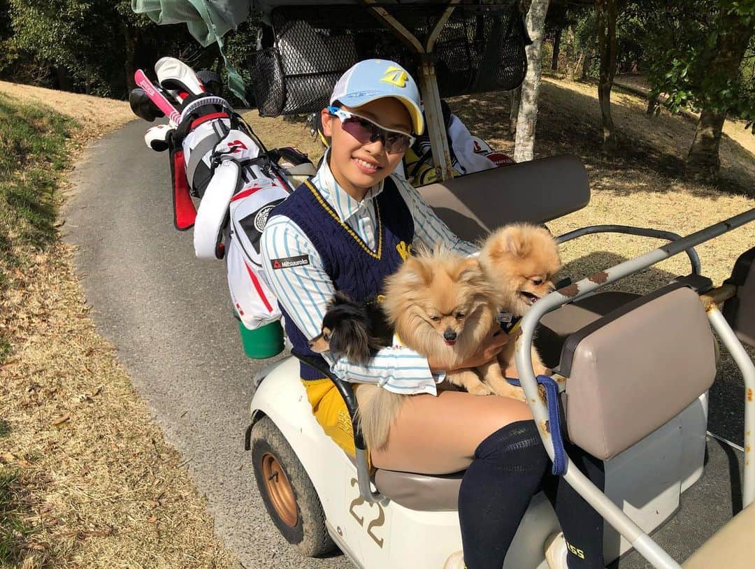 川崎志穂さんのインスタグラム写真 - (川崎志穂Instagram)「0322 ・ ・ 家族みーーーんなでラウンド🐶⛳️ ・ いぬころーずは、楽しそうにコースを走り回ったり、気持ちよさそうにママの腕の中で寝てたりしてました☀️みんなニコニコ🐶 記念写真撮ろうと思ったのに いつも通り誰もカメラ見てくれない🥺📸 ・ ・ #golf #愛犬とゴルフ #ミツウロコ　#kissonthegreen #いぬのいる暮らし」3月22日 21時17分 - shiiiistagram__official