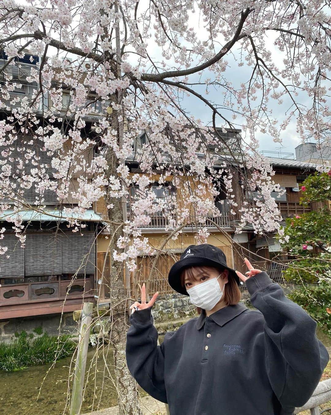 おもてちゃんのインスタグラム：「. 京都ポップアップ最終日ありがとうございました！ . 風邪気味だったのと、乾燥した中でたくさんの方とお話したからか、最終日なんとまさかの声が出ないという😷本当にごめんなさい 必死にお話しようとはしましたが聞き取ってもらえたかどうか（笑） でもとってもとってもたのしかったです︎︎☺︎ . 高校の修学旅行ぶりに訪れた京都でしたが、街並みも綺麗で歩いてるだけでたのしかったですまた来ます〜 . 次のポップアップは4月の札幌です。よろしくお願いします。 🌸🌸」