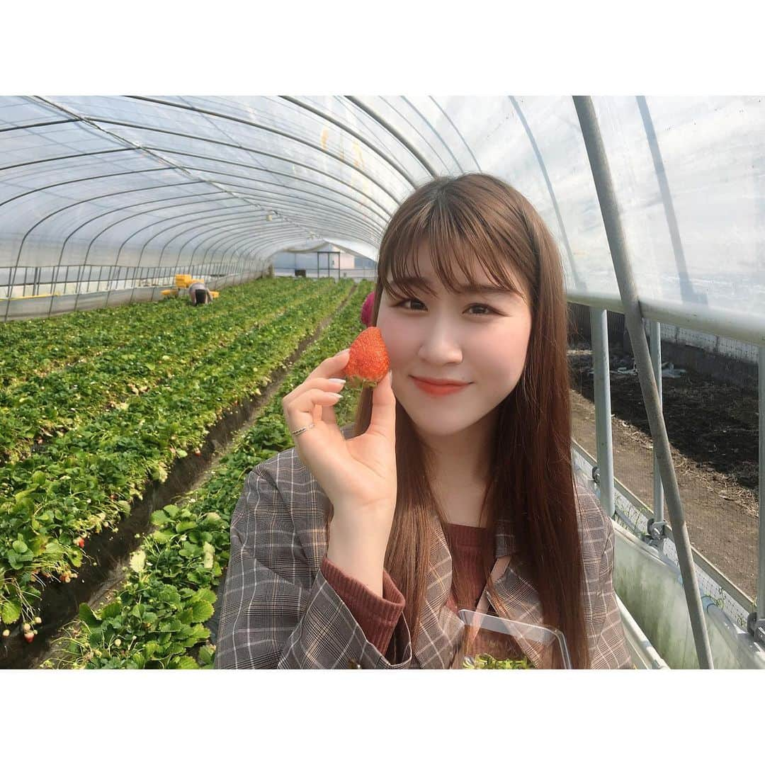 かれん（古賀かれん）さんのインスタグラム写真 - (かれん（古賀かれん）Instagram)「🤤🍓」3月22日 21時26分 - lgm_karen_official