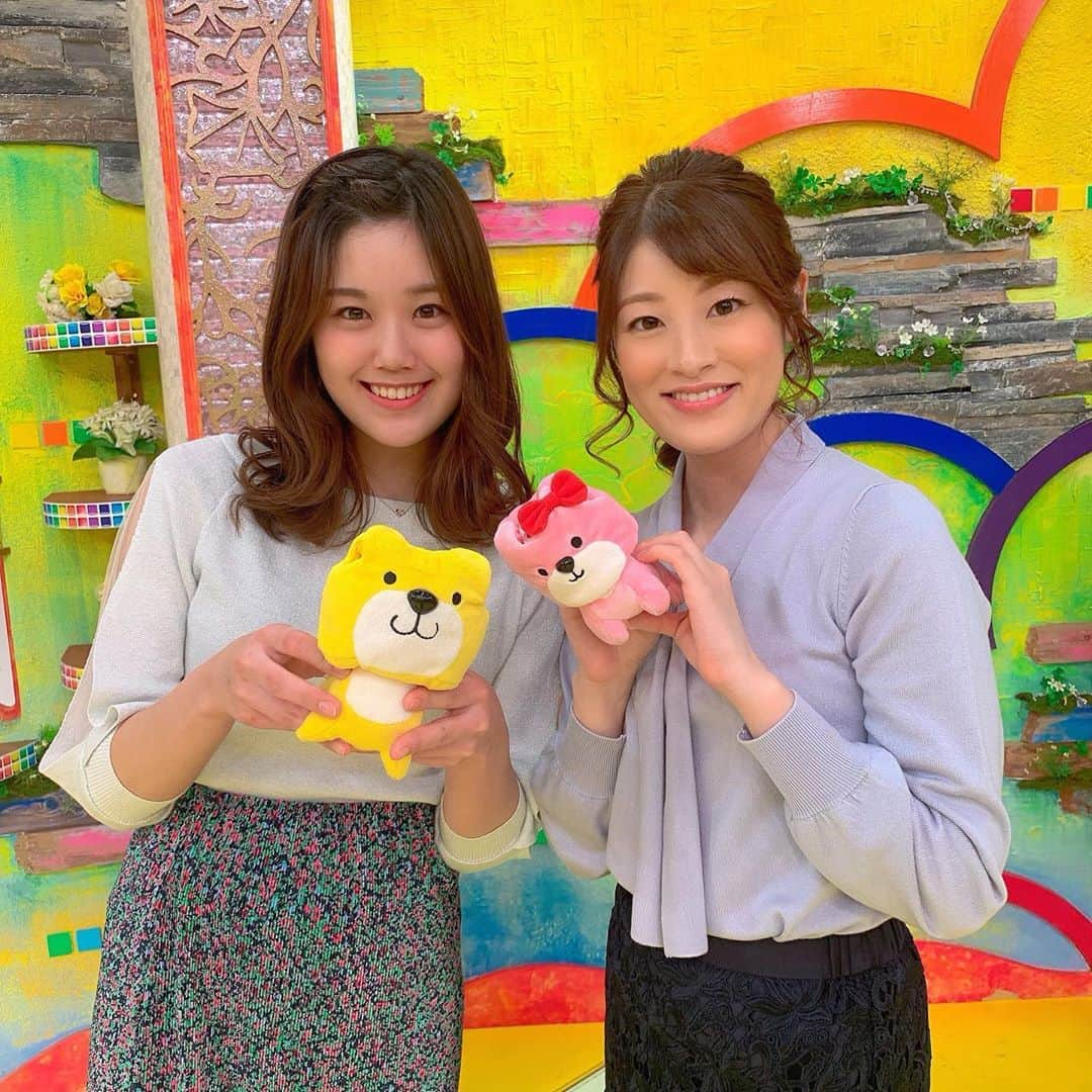 小宮山瑞季さんのインスタグラム写真 - (小宮山瑞季Instagram)「たかみーがおでこ出してる！(笑) ということで、おでこ記念に、 土曜はこれダネッ！おわりに写真撮影📷🌈 ハチポとハチナも出演してもらったのに、ハチナが下を向いちゃった。(笑) ・ 土曜はこれダネッ！のヘアスタイルも毎回ご注目ください～👗💄✨ ・ #土曜はこれダネッ #おでこ #前髪アップ #cute #スタジオ #ヘアセット #hair #ヘアアレンジ #ヘアスタイル #hairstyle #長野市 #ピエドプール #ピエドプールポッシュ #pieddepoule #美容院 #check #長野放送 #ハチポ #ハチナ #ゆるキャラ ? #犬 #dog #アナウンサー #戸田山貴美 #小宮山瑞季 #今日のこみぃ」3月22日 21時40分 - komiyama_mizuki