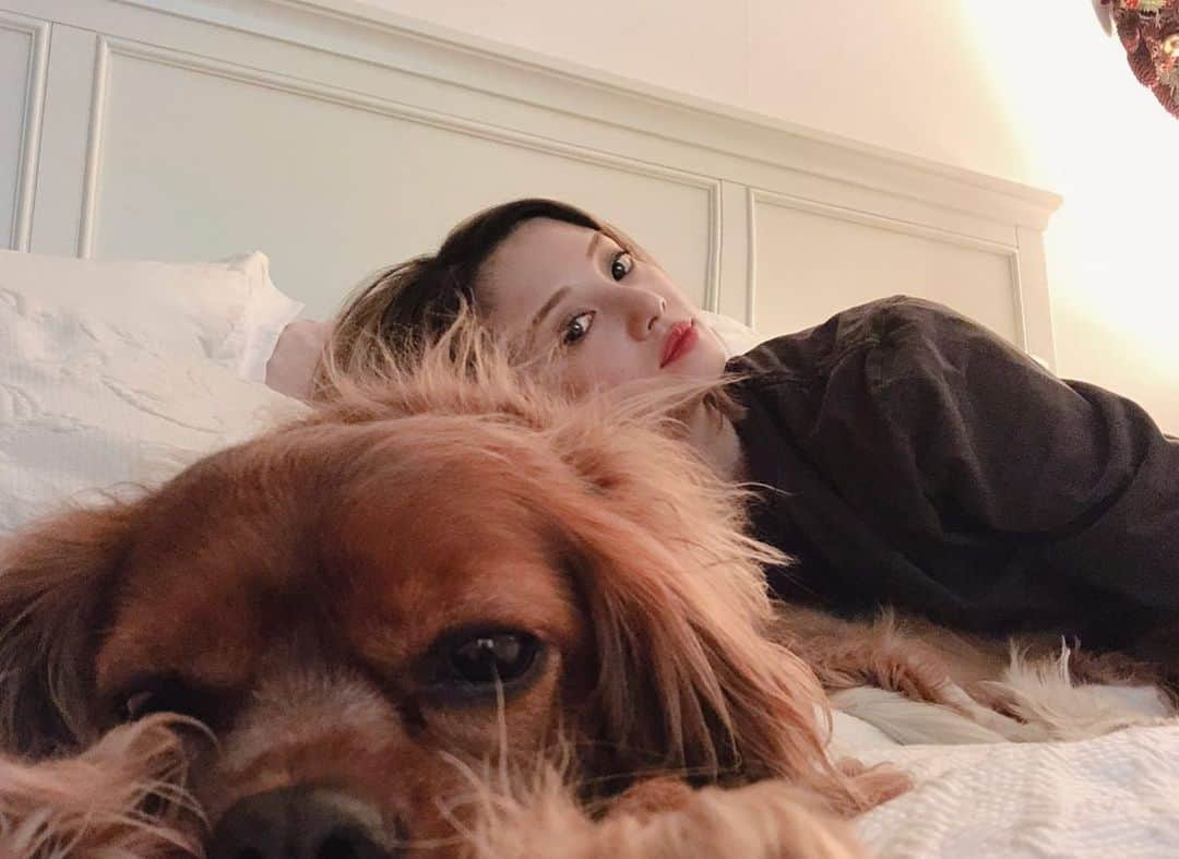 木下ココさんのインスタグラム写真 - (木下ココInstagram)「withモジャみ🐶🤍 ・ ロングヘア好きだけど肉球の周りだけそろそろカットしようね☺️✂︎💈 ・ ・ #sansasnow #kingcharlescavalier  #cavalier  #cavalierruby  #キャバリアルビー #キャバリア大好き」3月22日 21時49分 - cocot_chan