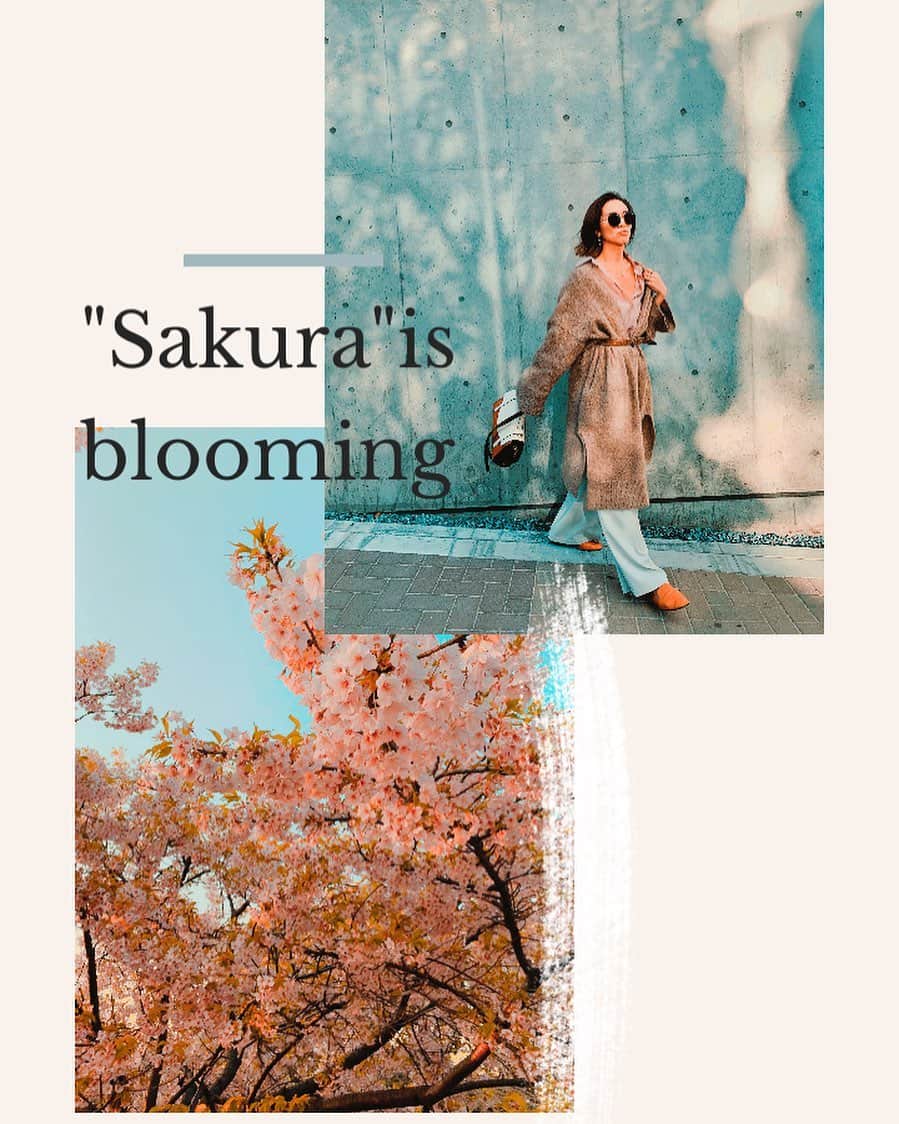 西内ひろさんのインスタグラム写真 - (西内ひろInstagram)「桜色着たくなるね🌸 #spring  #fashion #sakura  #春服　#桜」3月22日 21時55分 - 0214hiro