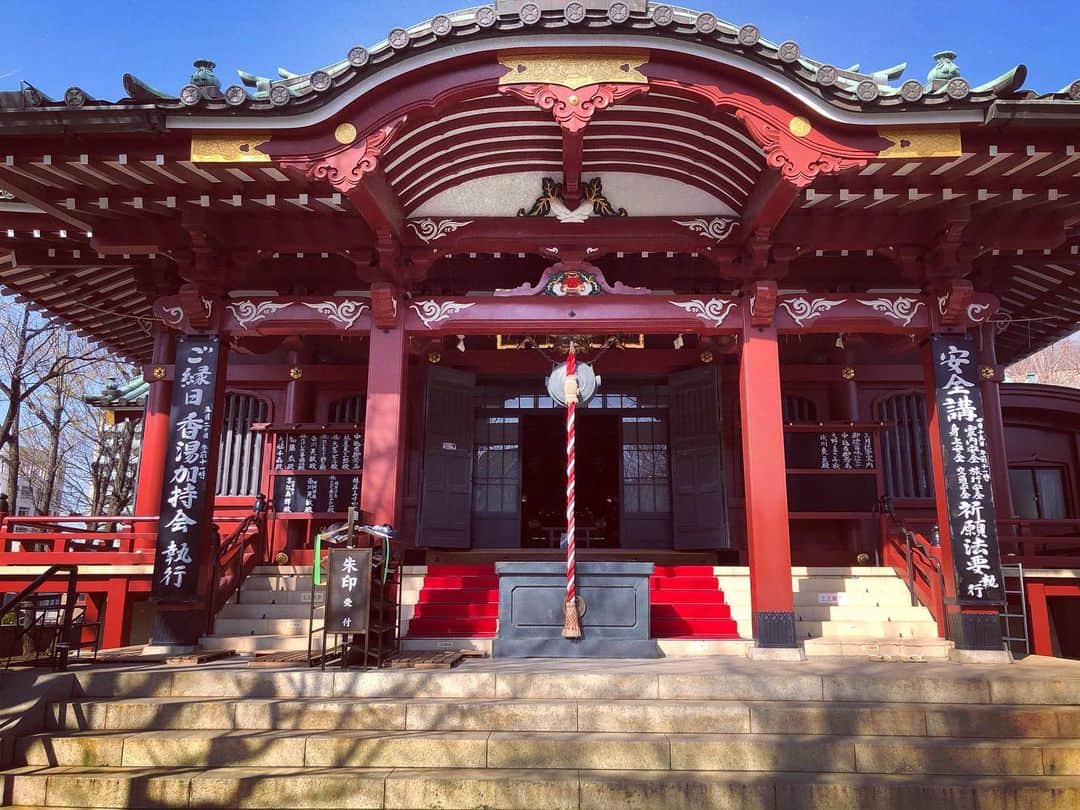 加藤響子さんのインスタグラム写真 - (加藤響子Instagram)「昨日はパワースポットでお参り。エネルギーをたくさん蓄えて元気もりもりです。 #待乳山聖天」3月22日 22時09分 - katokyooooooooo