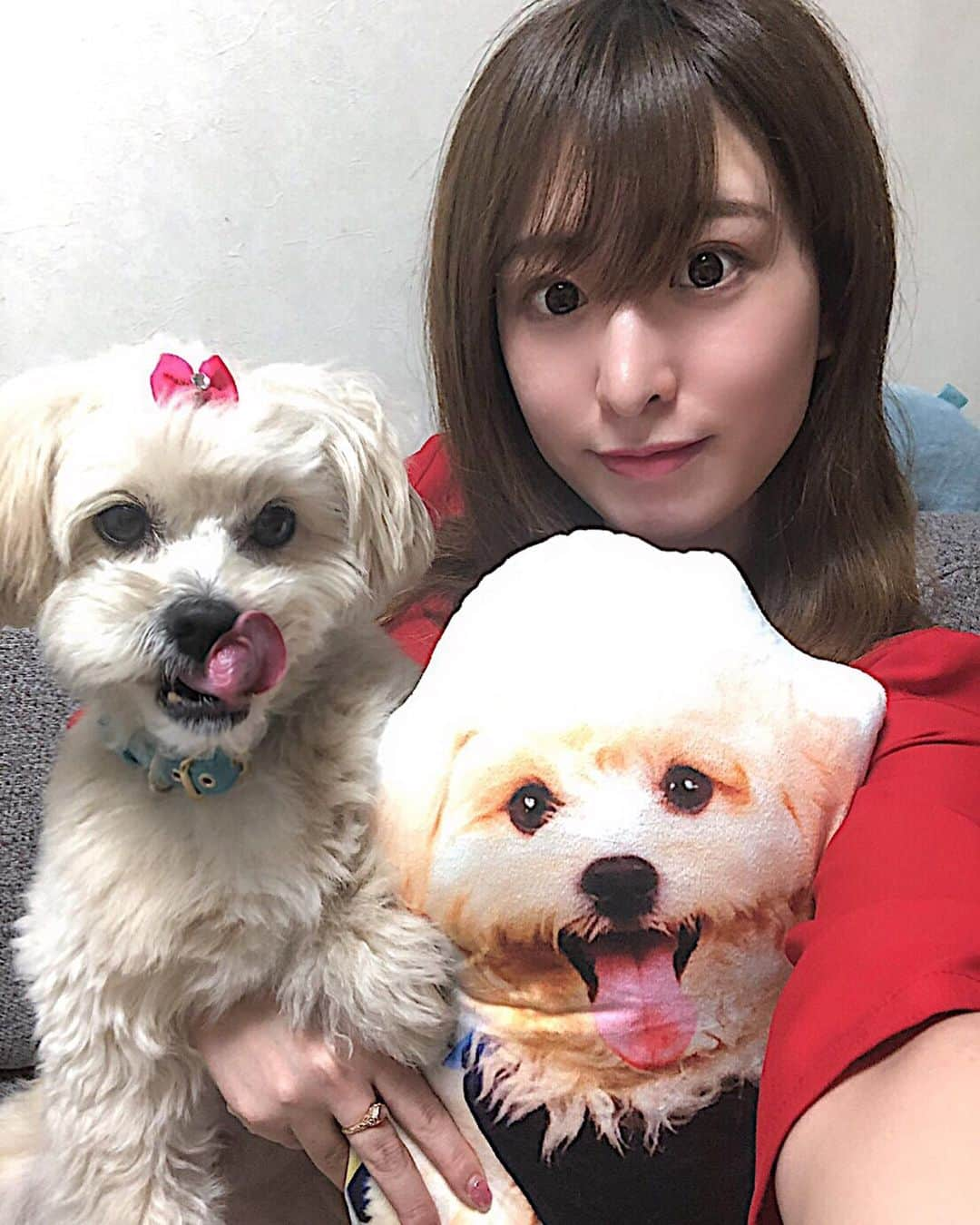 浅香美咲さんのインスタグラム写真 - (浅香美咲Instagram)「ぽむクッション🐶オーダーしたよ💖 めちゃ可愛い😍😍 作ってよかった💕  10％OFFになるクーポンコードは【ig10off】❣️使ってね☺️ #Aisdelu #aisdeluクッション #ペットクッション #オリジナルクッション #ペットオーダークッション #ペキプー」3月22日 22時11分 - asakamisaki