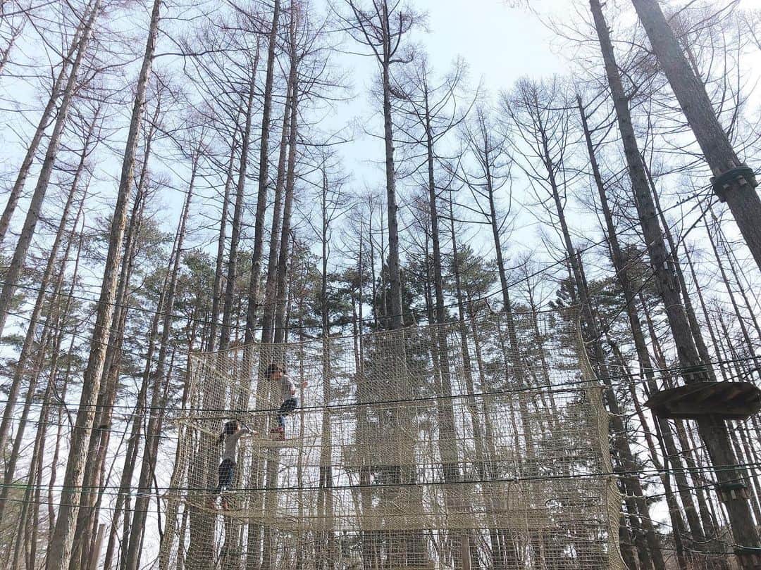 東原亜希さんのインスタグラム写真 - (東原亜希Instagram)「1枚目、息子はどこでしょう😂待ってる双子も楽しそう♡2度目のフォレストアドベンチャー、違うコースに挑戦🙌🏻」3月22日 22時35分 - akihigashihara