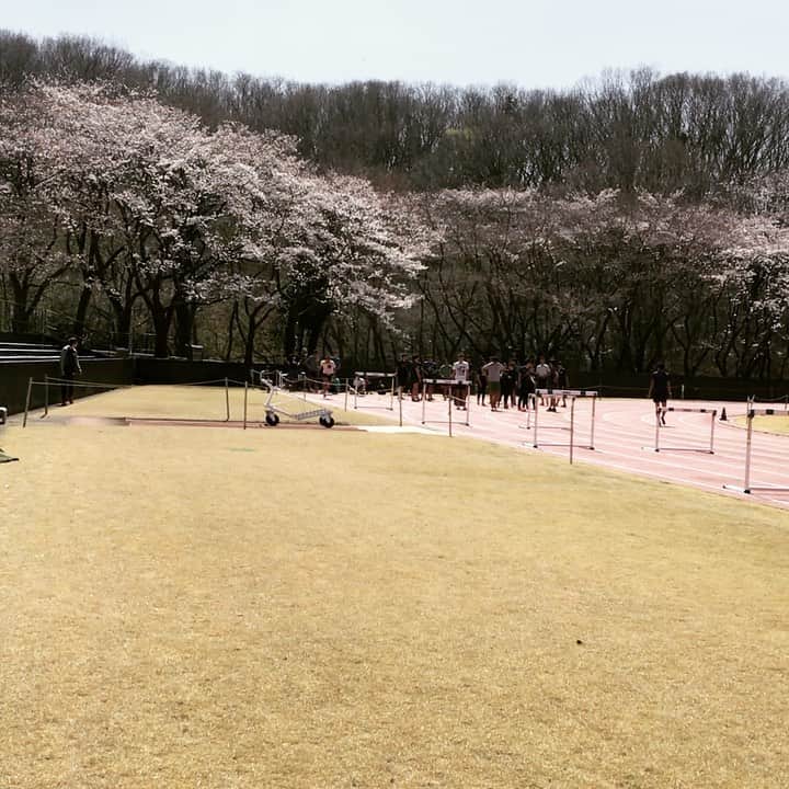 矢澤航のインスタグラム：「* Over Hurdle Training 12th hurdles (int-8.8m) * なるべく同じリズムで走り抜ける練習💨 この日は競技場内の風が安定せず ハードル日和ではありませんでしたが 意地でまとめました！ 11区間のリズムを安定させる為にも 前半区間で刻みすぎないように リズム調整を行なっています。 レースに向けての展開を考えると より良い練習になります🙆‍♂️ 少しずつ自粛緩和され始めて、各々の生活を軌道に乗せていくところだと思います。 様々な不安とも戦わなくてはいけないこともありますが、日々の楽しみを探して少しでも前向きにいきましょう✊ ウイルスに負けるな👊🦠💥 * #DESCENTE #mizuno #SEV #SWANS #savas #oofos #110mh #hurdlenation #hurdletraining #hurdles4life」