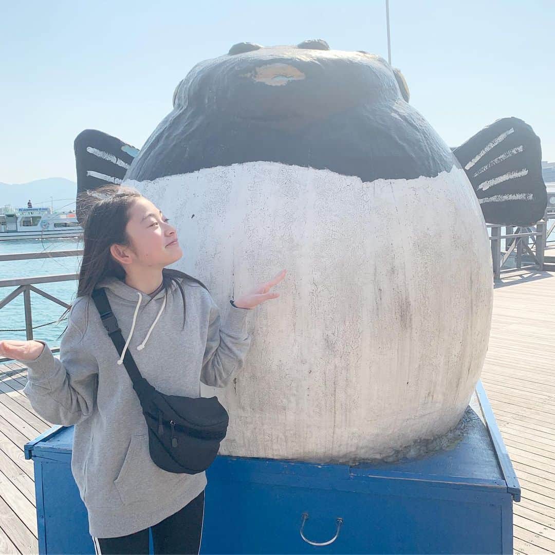 Ayamiのグルメインスタ