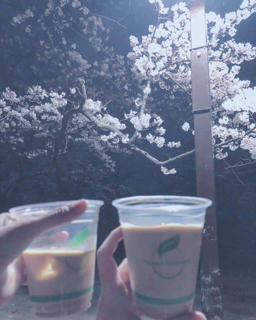 白釈迦遺さんのインスタグラム写真 - (白釈迦遺Instagram)「. エモ散らかしてきた🌸☕️」3月22日 22時58分 - shaka_yui