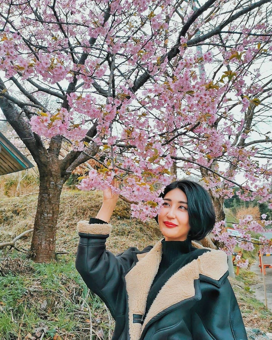 Lisaのインスタグラム：「. 平和にお花見したい〜🌸 毎年屋台にお酒が楽しみなのになー。。 楽しみな予定がぜーんぶ消えていく。 ひまです😫😫笑 . ひますぎてテレビと漫画ばっかりの 毎日を過ごしております笑🤨🤨🤨 #お花見#🌸#静岡#桜#はやく平和な日々が戻ってきますように#sakura#shizuoka#japan#camera#instagood#instalove#likeforlikes」