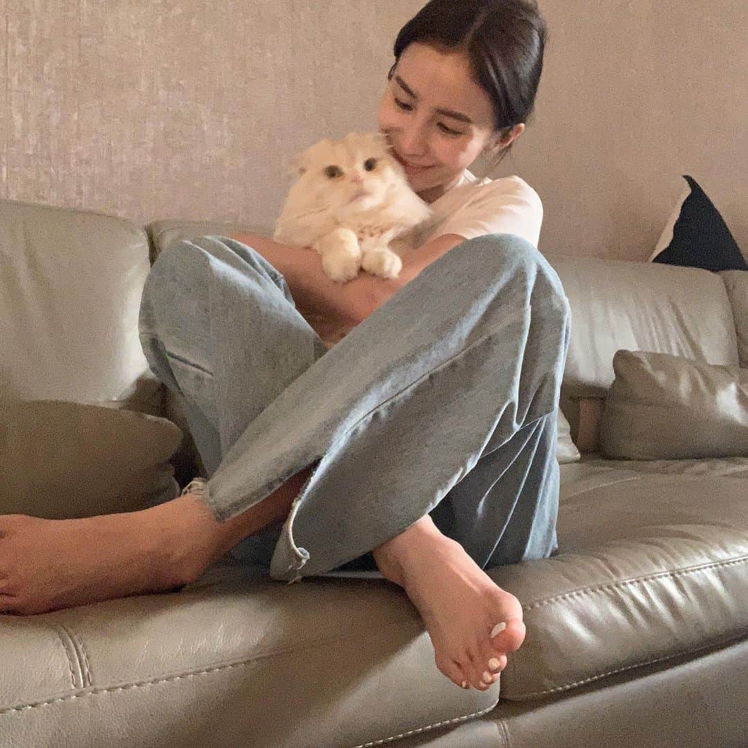 チャン・チュンニンのインスタグラム：「看Nana的表情就知道有多無奈  #療癒系貓咪」