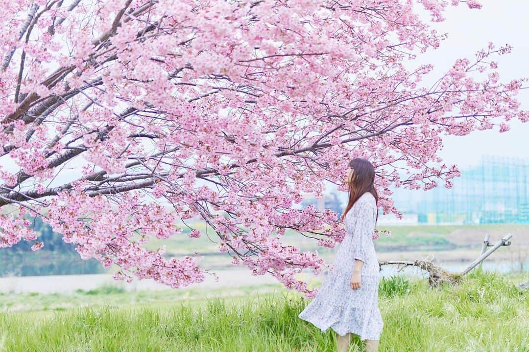Najiiのインスタグラム