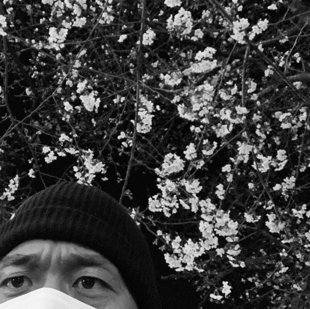 鷹木信悟さんのインスタグラム写真 - (鷹木信悟Instagram)「‪腕トレからの夜桜...🌸💪🌸‬ ‪#training‬ ‪#桜‬ ‪#cherryblossom‬」3月22日 23時38分 - takagi__shingo