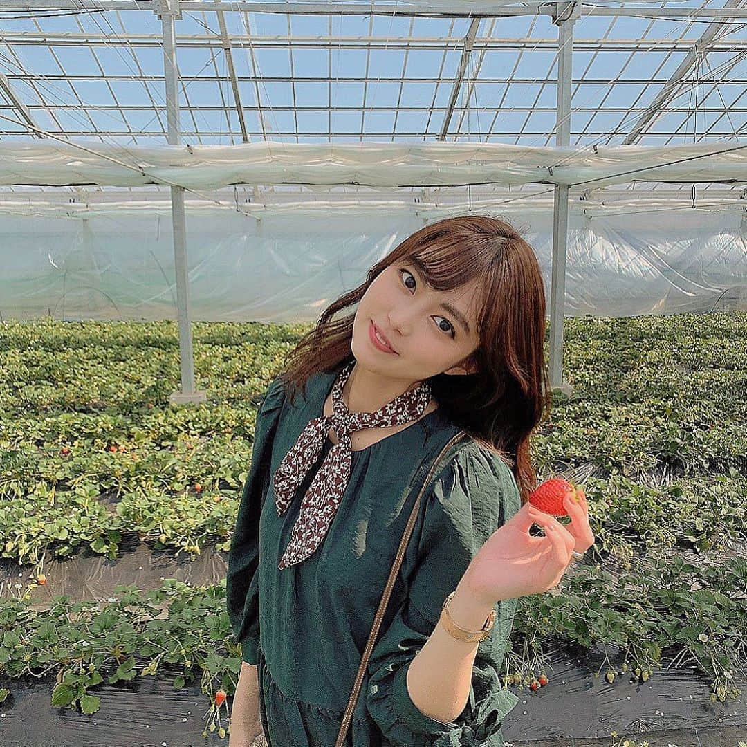 前田亜美さんのインスタグラム写真 - (前田亜美Instagram)「. . いーーーーちご🍓𓂃𓈒𓏸. . . . #まーきの #いちご狩り #🍓 #まゆげ太い」3月22日 23時44分 - ami___maeda0601