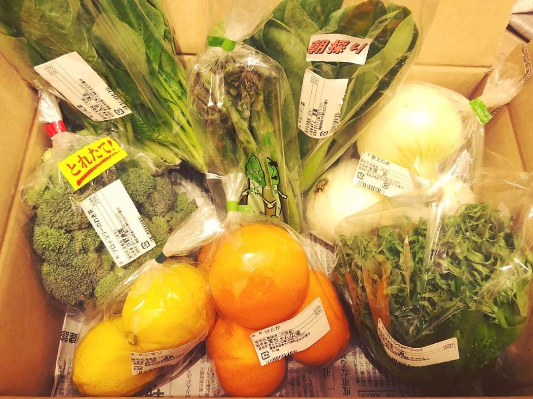 SONOMIのインスタグラム：「愛媛のお友達のカナちゃんから 野菜とフルーツが沢山届いて歓喜🥰 農家直送‼️ 朝採のものも👀👀✨✨✨ 味が濃くて美味しいんだー🥦🍋🍊🧅 下手に料理せず茹でてそのまま食べよう✨✨ カナちゃんありがとう🥺✨ #愛媛 #周ちゃん広場」