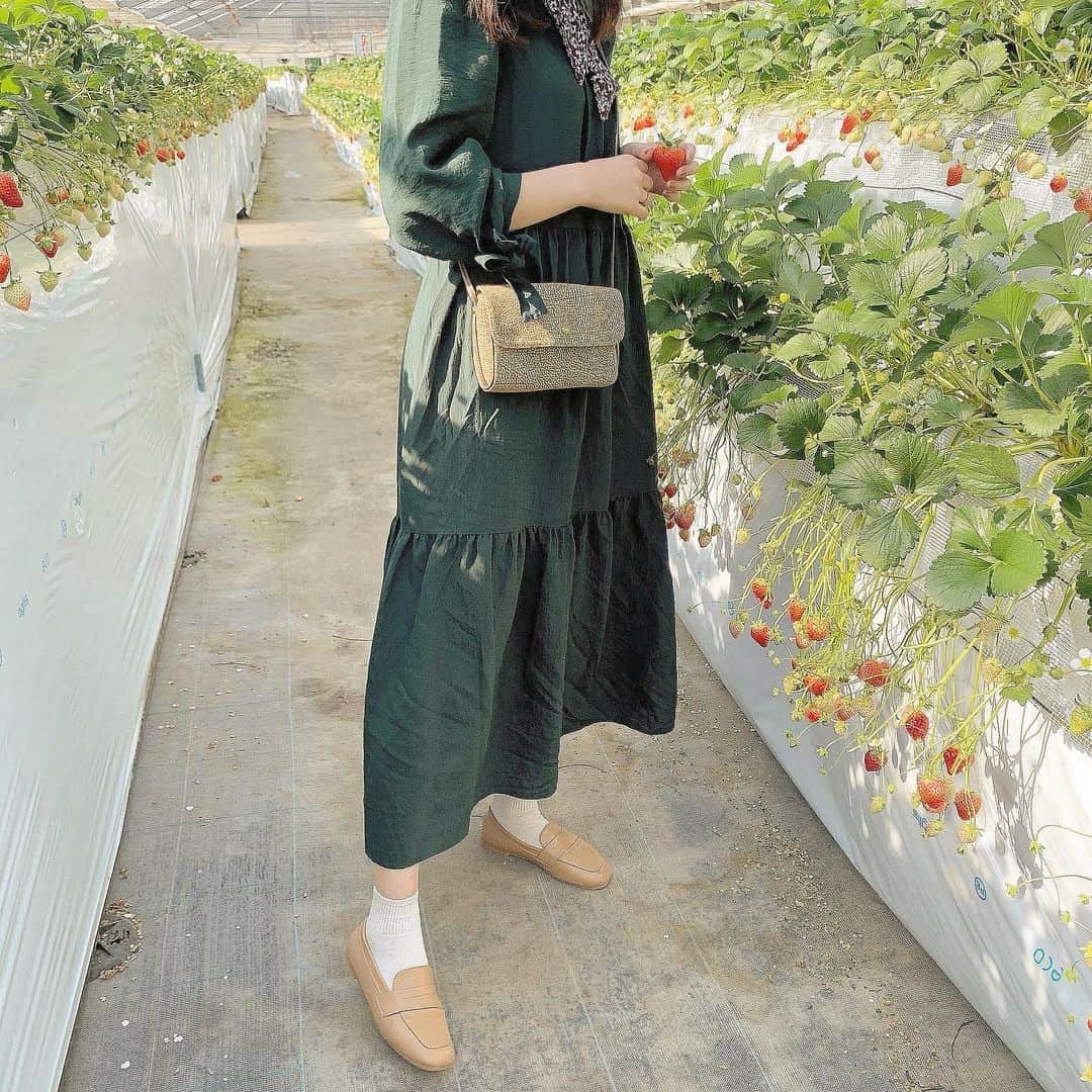 前田亜美のインスタグラム：「. . いちご狩り🍓家族と過ごす時間は落ち着きますね𓂃𓈒𓏸 . #ワンピース #暖かくなってきたね  #ami私服」