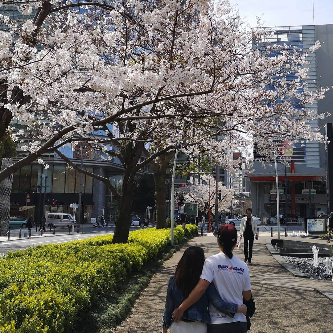 フローラン・ダバディーさんのインスタグラム写真 - (フローラン・ダバディーInstagram)「Cherry blossoms stroll day 1  桜ハンティング初日 #cerisiersjaponais」3月23日 0時50分 - florent_dabadie