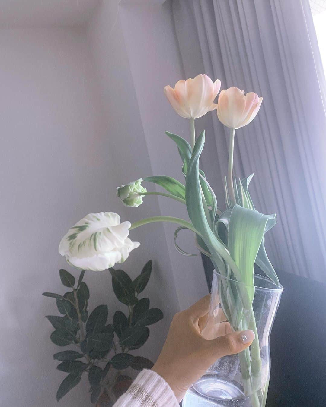 わちみなみさんのインスタグラム写真 - (わちみなみInstagram)「#ダブルベッド  でも﻿ お花たくさん登場しましたが﻿ わたしはお花が好きです😊✨﻿ ﻿ やっくんのお花も綺麗でしたね？🌼﻿ わたしのために買ってくれたんだよね？﻿ とは言えずだよね笑﻿ みんなだったら言えますかあ？ ﻿ #わちみなみ﻿ #わちと花」3月23日 1時05分 - wacchime