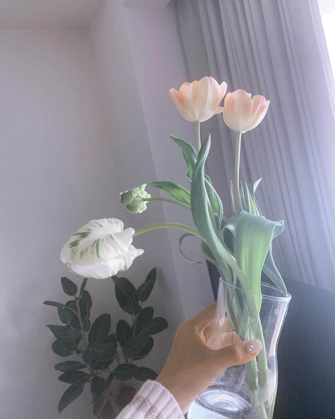わちみなみのインスタグラム：「#ダブルベッド  でも﻿ お花たくさん登場しましたが﻿ わたしはお花が好きです😊✨﻿ ﻿ やっくんのお花も綺麗でしたね？🌼﻿ わたしのために買ってくれたんだよね？﻿ とは言えずだよね笑﻿ みんなだったら言えますかあ？ ﻿ #わちみなみ﻿ #わちと花」