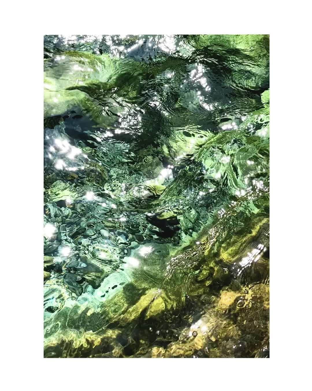 SWAROVSKIのインスタグラム