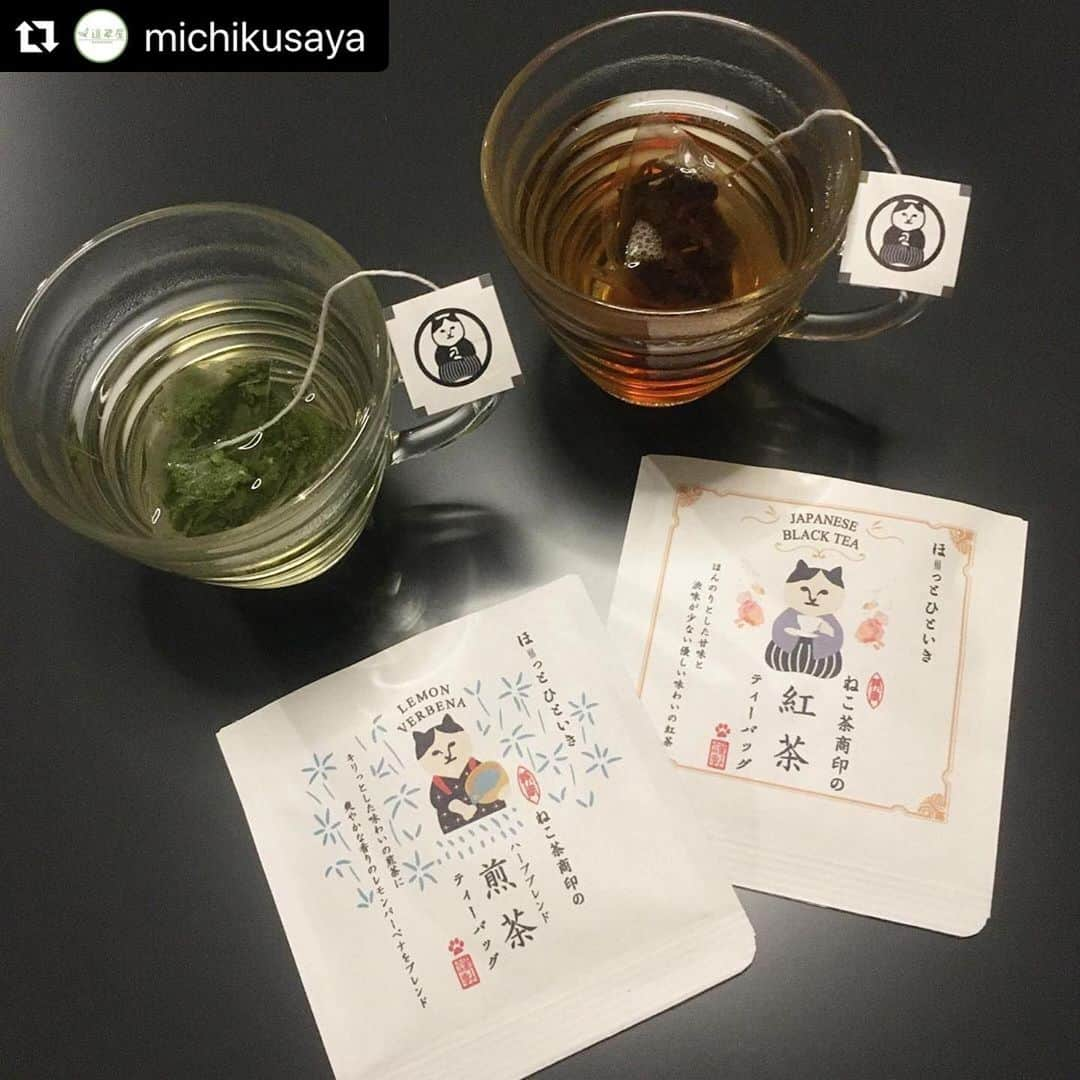 ねこさんのインスタグラム写真 - (ねこInstagram)「仙台市青葉区の道草屋さんにて、ねこ茶商印のお茶をお取り扱い頂いております💕🍵 可愛いパッケージと、本格的な味わいをぜひご堪能あれ🥰💕プチギフトにもぴったりだよぅ〜🍵🙆‍♀️✨ #Repost @michikusaya with @make_repost ・・・ ねこ茶商印のティーバッグでのんびりお茶タイム #ねこ茶商 #ねこ茶商印 #日本茶のある生活  #tealover #tealicious #greentea #japanesetea #japanesegreentea #michikusaya #道草屋 #仙台のカフェ #仙台 #仙台市青葉区北目町 #北目町 #日本茶 #煎茶 #緑茶 #tea #teatime #teatime🍵 #teabreak」3月23日 13時09分 - neko_magazine