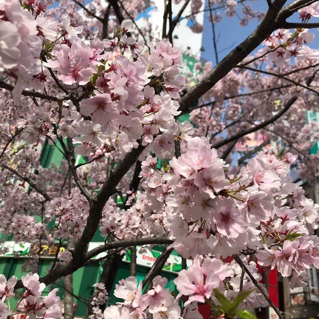 鮨おが和のインスタグラム