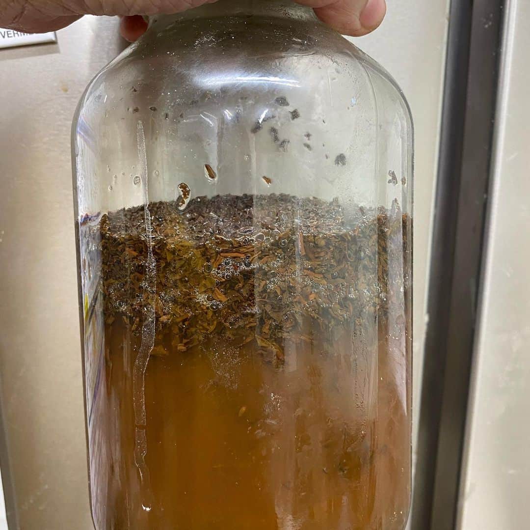 魔女菅原のグルメインスタ