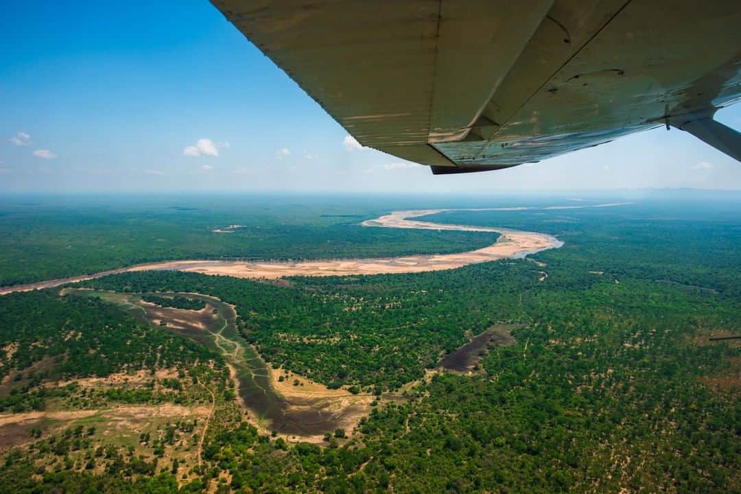 National Geographic Travelさんのインスタグラム写真 - (National Geographic TravelInstagram)「Photo by @MartinEdstrom | Looking out over South Luangwa National Park in Zambia, the view from this small airplane is a great help for scientists monitoring herds of buffalo as well as lions and other predators. This vast wilderness, like many other national parks in Africa, is a sanctuary for big cats and other important wildlife. If you're looking for a quiet destination in Africa to spend time in the wild, you can't go wrong with South Luangwa National Park.  Follow @MartinEdstrom for more stories from Zambia's wild places. #zambia #southluangwa #aerial #nationalparks」3月23日 13時14分 - natgeotravel