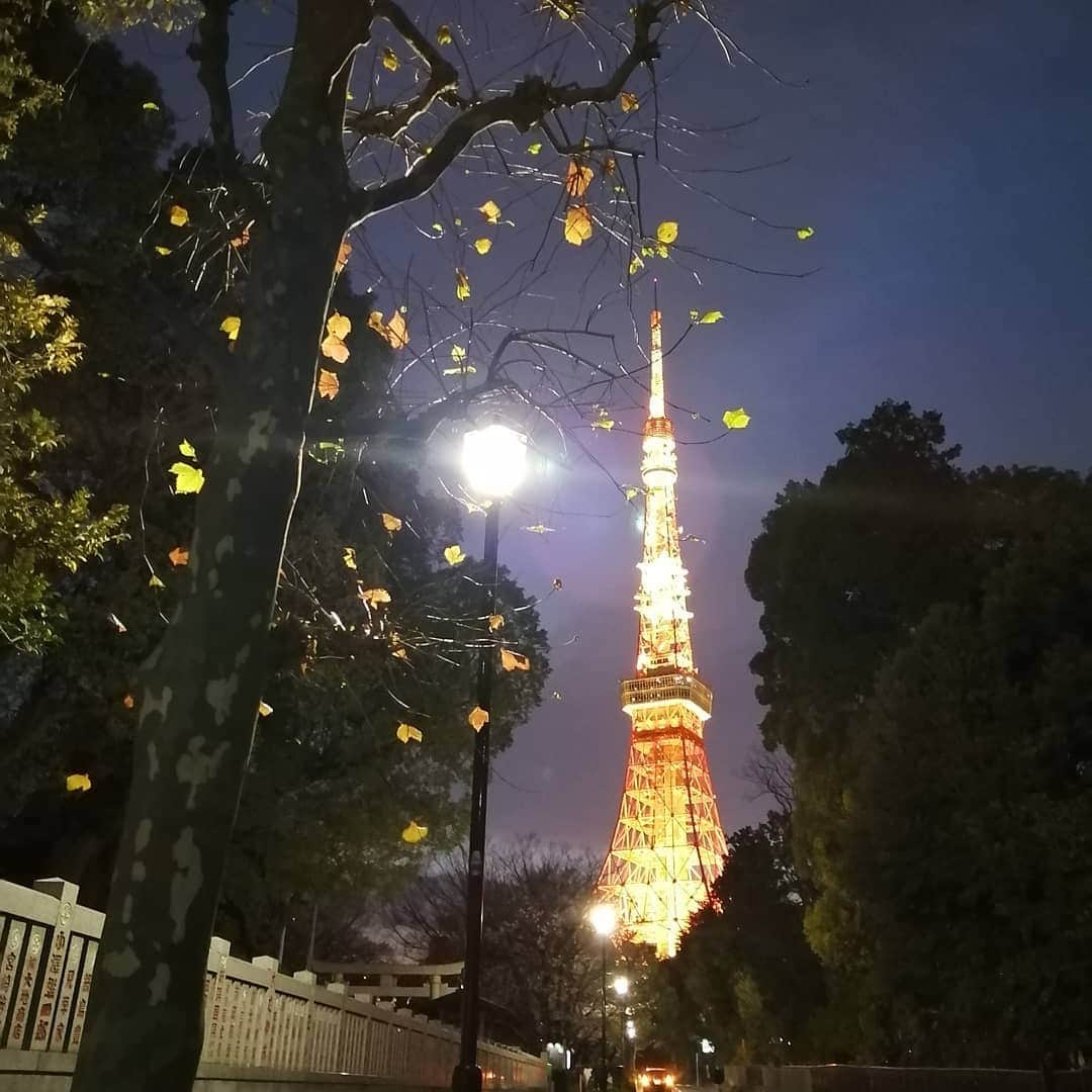 米倉れいなのインスタグラム：「, #東京タワー 🗼」