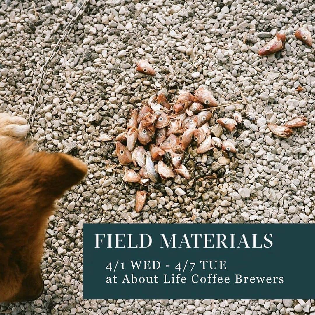 ABOUT LIFE COFFEE BREWERSのグルメインスタ