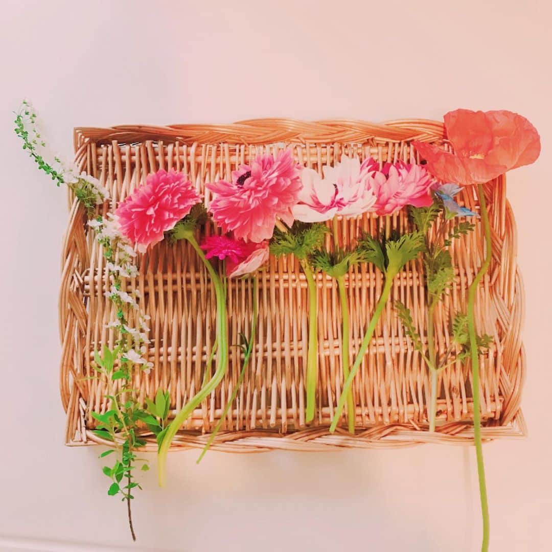 益子直美さんのインスタグラム写真 - (益子直美Instagram)「今日の庭の花🌸  ささやかな日常の癒し♡  #庭の花  #ガーデン  #garden  #花  #flowers」3月23日 10時59分 - naomi.masuko