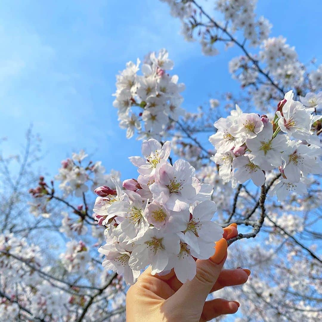 石川晶子（あきぽよ）のインスタグラム