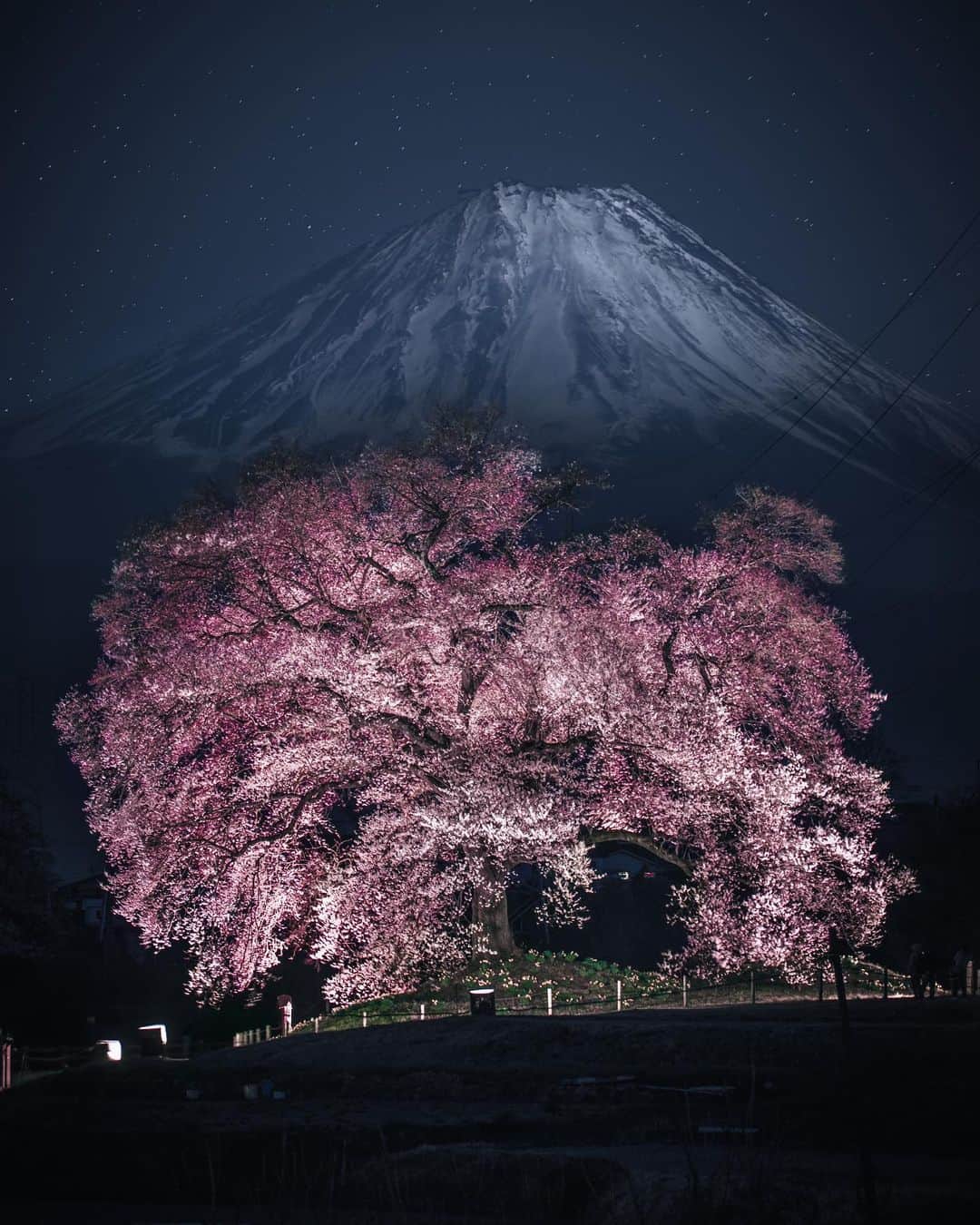 のインスタグラム：「Spring still comes.  The rarest Sakura blossoms in adversity spring.  And the holy mountain guards everyone silently. #hellofrom Fuji mountain ・ ・ ・ ・ #bestvacations #beautifuldestinations #earthfocus #earthoffcial #earthpix #thegreatplanet #discoverearth #fantastic_earth #awesome_earthpix #ourplanetdaily #lifeofadventure #nature #livingonearth #theweekoninstagram  #theglobewanderer #visualambassadors #stayandwander #welivetoexplore #IamATraveler #wonderful_places #TLPics  #visit #voyaged #sonyalpha #bealpha #aroundtheworldpix #moodygrams #HYPEBEAST #lonelyplanet @sonyalpha @hypebeast @highsnobiety @lightroom @soul.planet @earthfever @9gag」