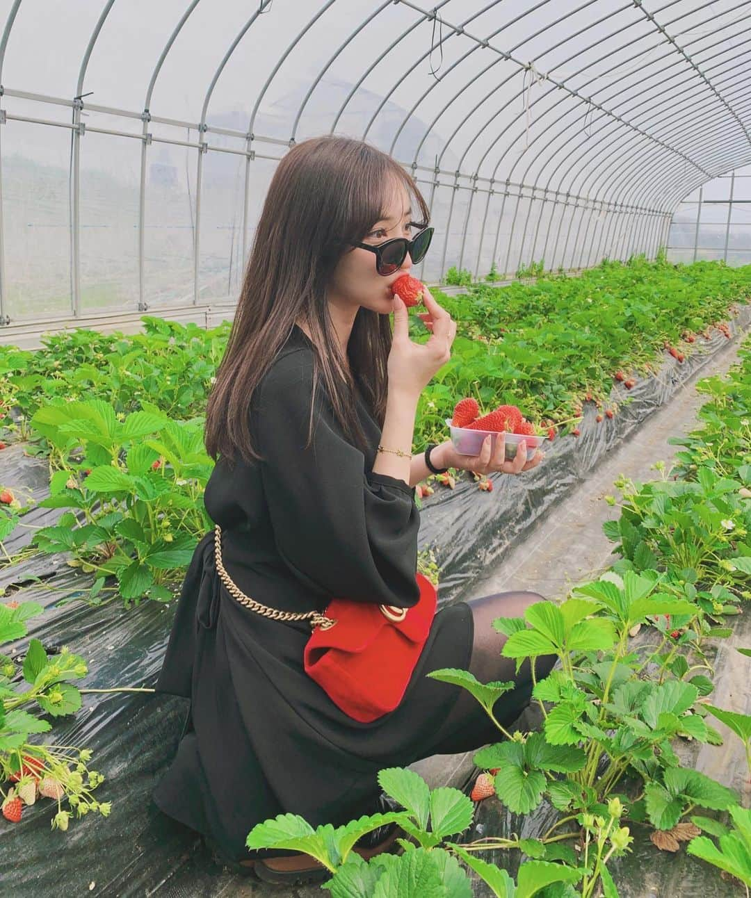 神田咲凛さんのインスタグラム写真 - (神田咲凛Instagram)「. 念願の🍓🍓🍓 . . . . . . #苺狩り#いちご狩り#いちご狩り🍓」3月23日 21時06分 - t12345vxq